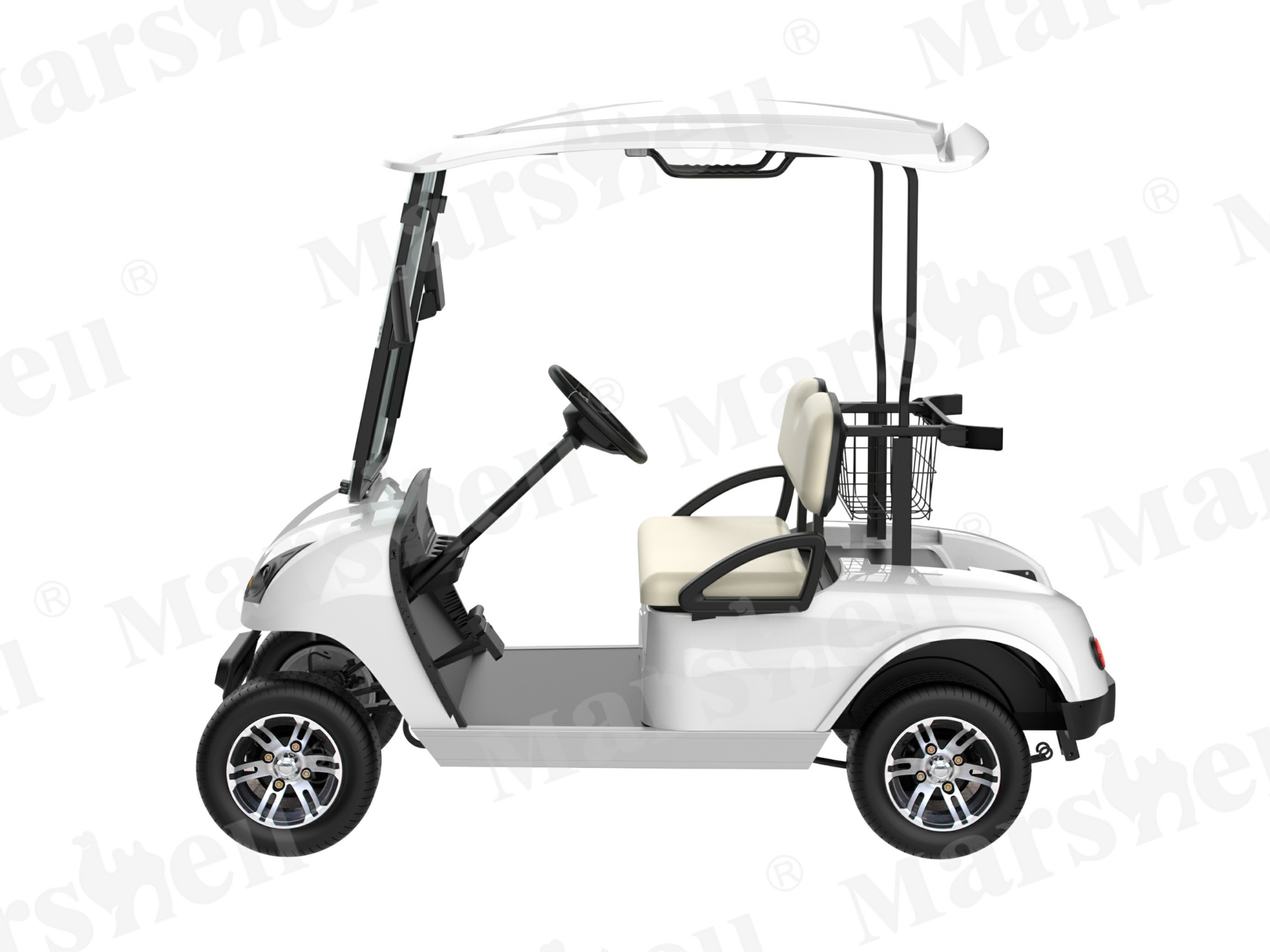 兩座電動高爾夫球車