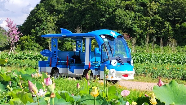 讓瑪西爾“海豚”觀光車帶您游山玩水吧！